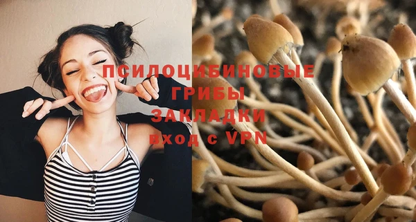 кокс Алзамай