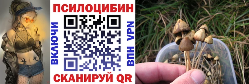 Купить  Южноуральск  Галлюциногенные грибы ЛСД 